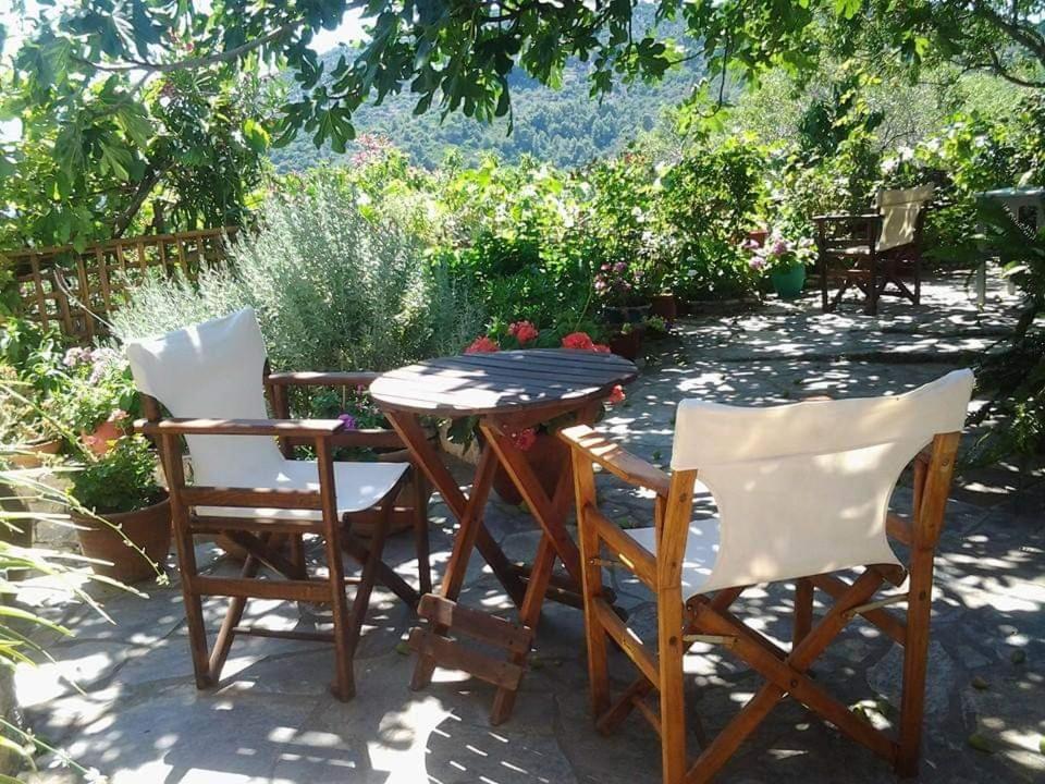 Villa Panayiota Alónnisos Exteriér fotografie