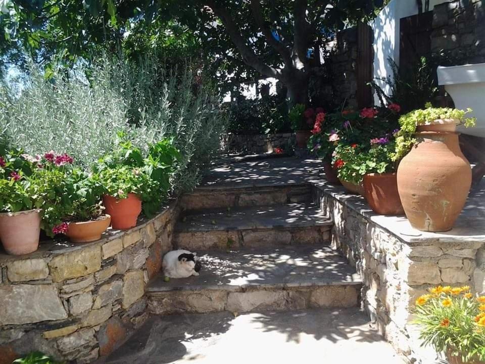 Villa Panayiota Alónnisos Exteriér fotografie