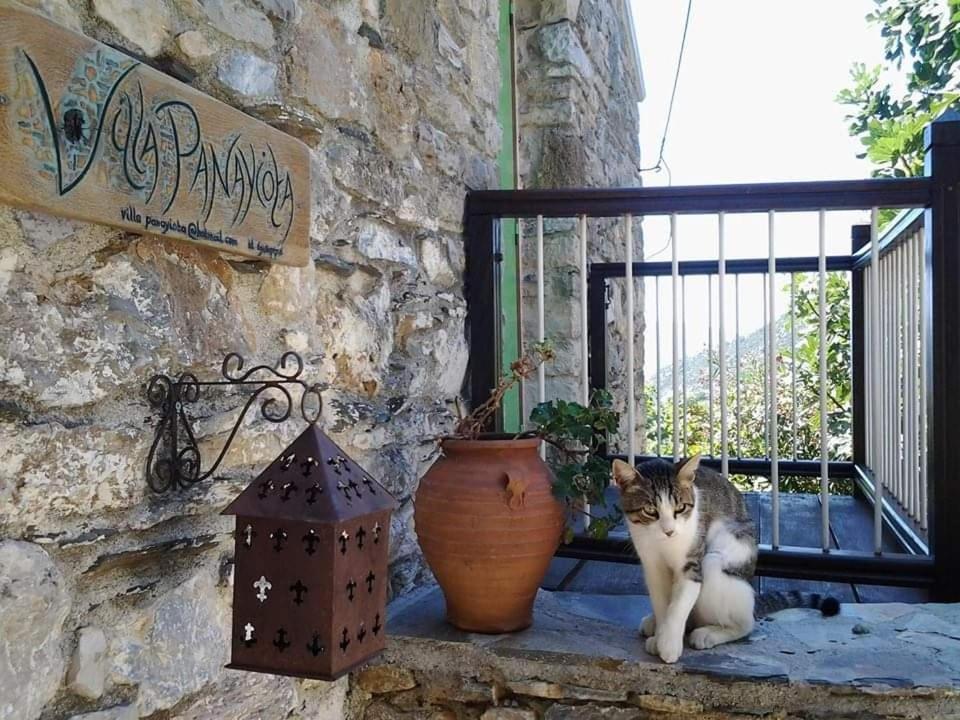 Villa Panayiota Alónnisos Exteriér fotografie