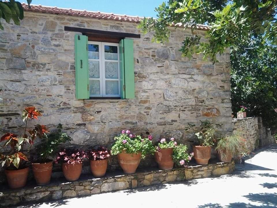 Villa Panayiota Alónnisos Exteriér fotografie