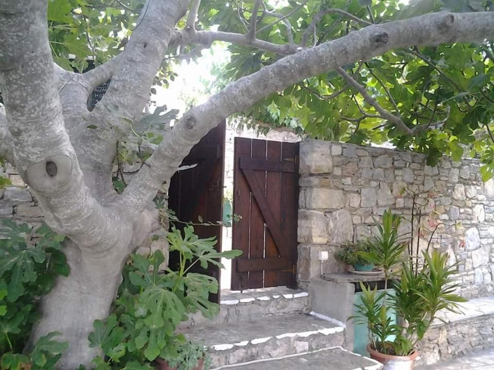 Villa Panayiota Alónnisos Exteriér fotografie