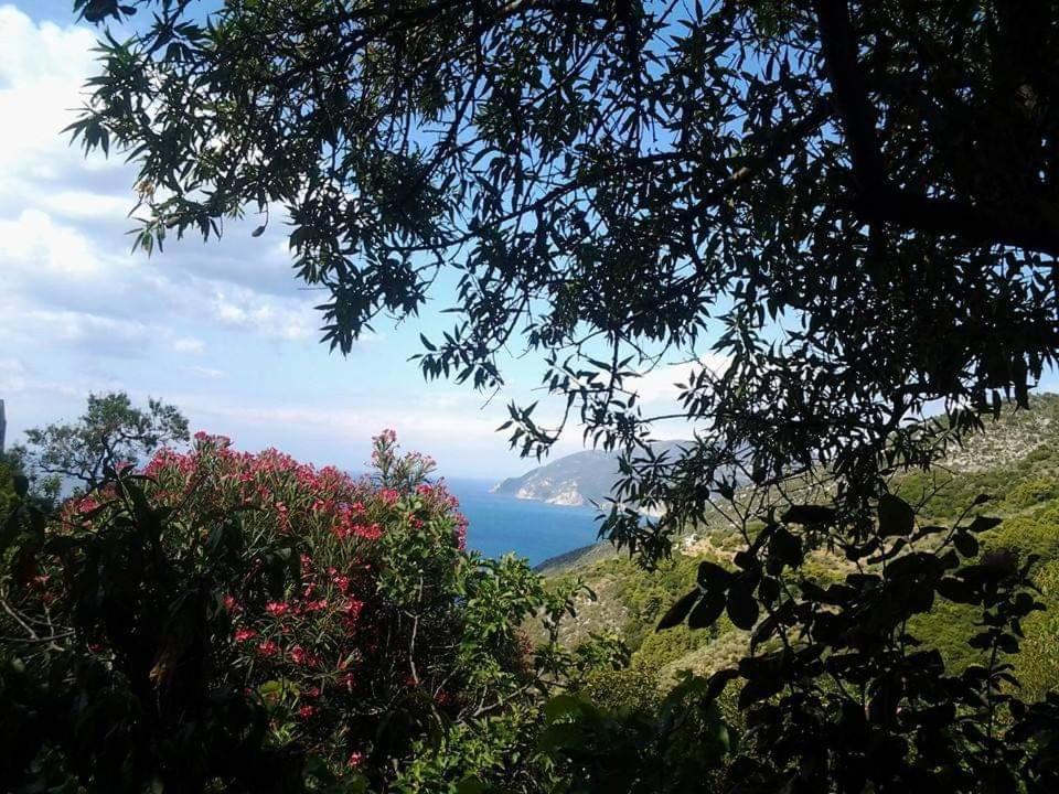 Villa Panayiota Alónnisos Exteriér fotografie
